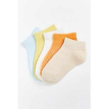 Set de sosete scurte striate - 5 perechi