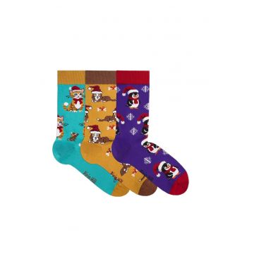 Set 3 perechi de sosete bumbac organic de craciun Colour Cotton Wintertime- Pinguin - Catel si Pisicuta