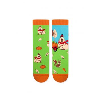 Sosete bumbac Arty Socks Capybara Verde