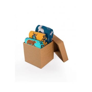 Sosete bumbac Forest Animals Cool Box - 3 buc.