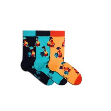 Sosete bumbac organic BOX 3 COLOUR COTTON Roosters