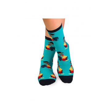 Sosete bumbac organic COLOUR COTTON Rooster MINT