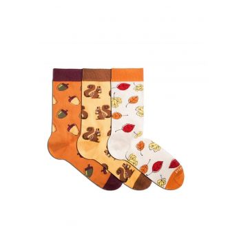 Sosete bumbac organic CUTIE 3 CULORI BUMBAC FRUNZE DE TOAMNA VEVERITA GHINDE