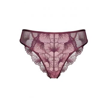 Chiloti brazilian Violet-roz Cecylia Bloovii