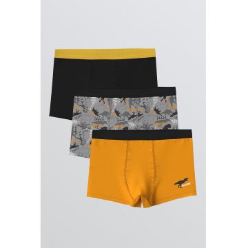 Set de boxeri din amestec de bumbac - 3 perechi