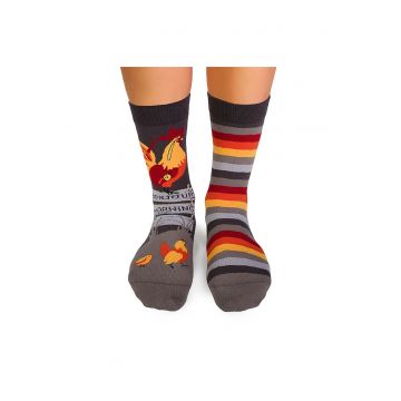 Sosete bumbac organic ARTY SOCKS Cocos GRI