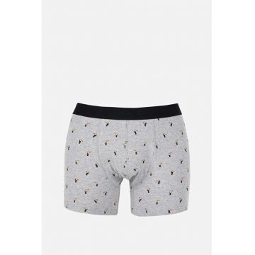 Lenjerie intima barbati  gri