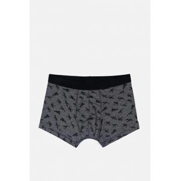 Lenjerie Intima Barbati  Modern Fit Multicolor