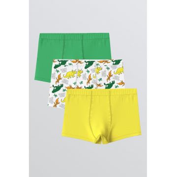 Set de boxeri cu imprimeu cu dinozauri - 3 perechi - Alb/Verde/Galben