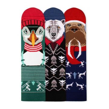 Cutie cu 3 perechi de sosete din bambus Craciunul Polar