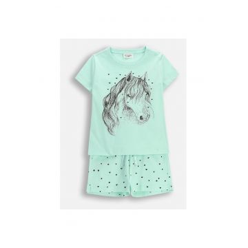 set piese - Verde menta