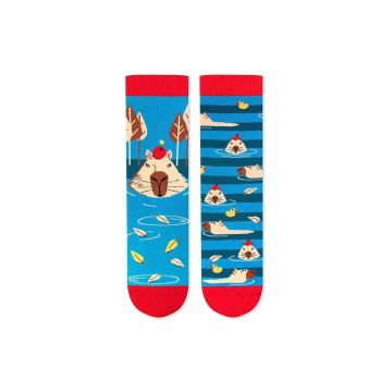 Sosete bumbac Arty Socks Capybara Albastru